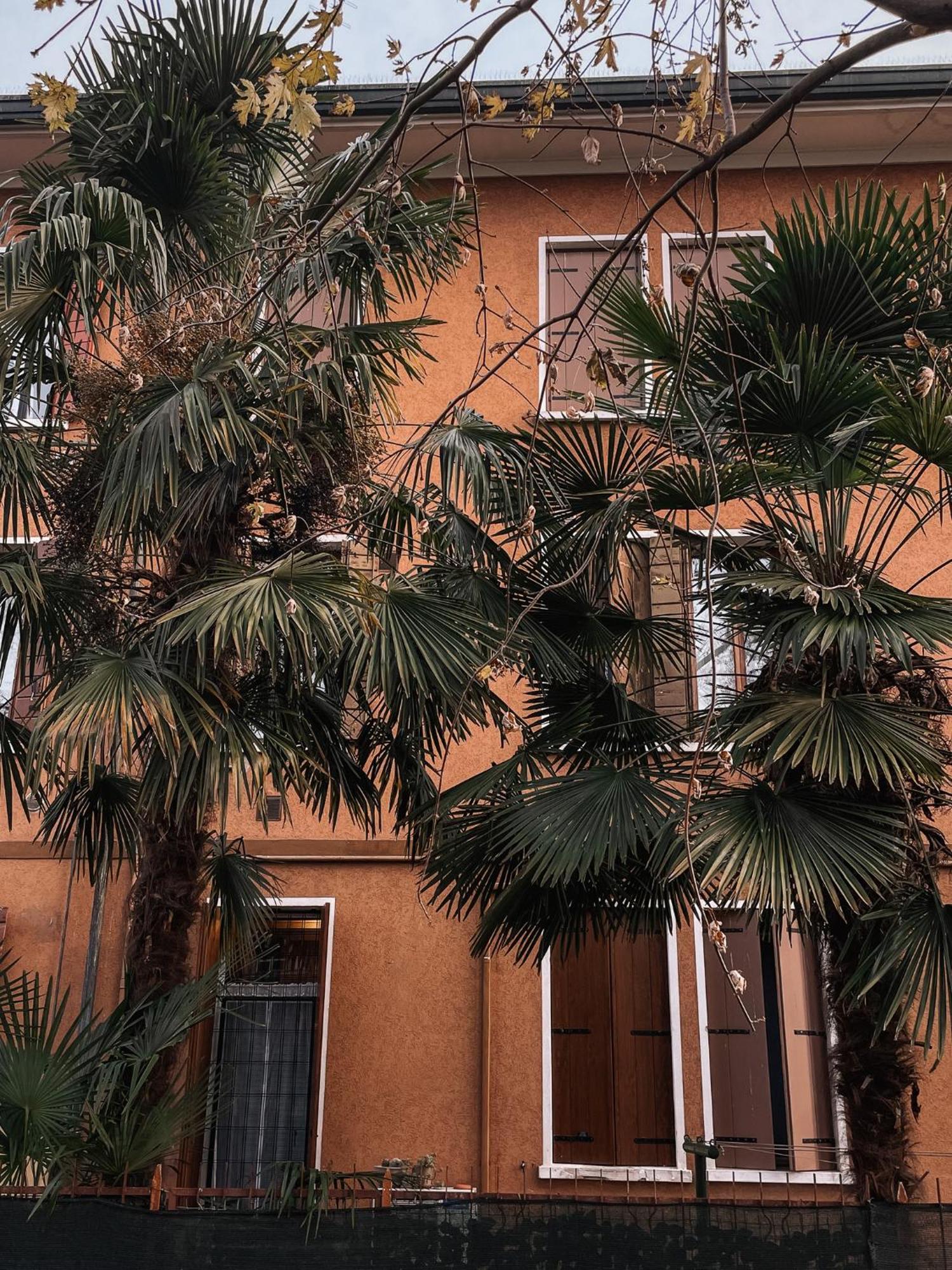 Entire Industrial Flat Venice With Patio - Free Parking Apartment Mestre